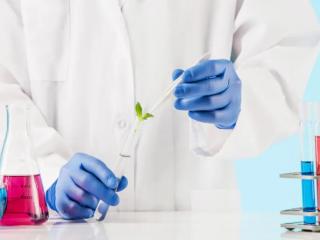 200+ Ready R&D formulation